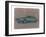 Chevy Camaro-NaxArt-Framed Art Print