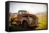 Chevy Loadmaster-Jessica Rogers-Framed Stretched Canvas