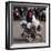 Chewa People, Malawi's Largest Ethnic Group, Live on the West Side of Lake Malawi-Nigel Pavitt-Framed Photographic Print