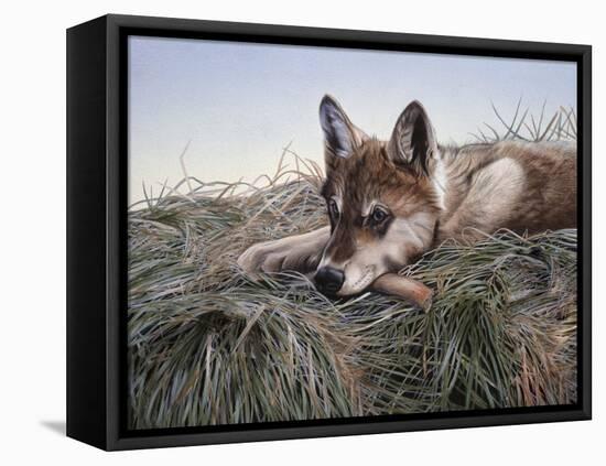 Chewing on It-Rusty Frentner-Framed Stretched Canvas