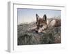 Chewing on It-Rusty Frentner-Framed Giclee Print