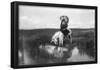 Cheyenne Indian, Wearing Headdress, On Horseback Photograph-null-Framed Poster
