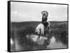 Cheyenne Indian, Wearing Headdress, on Horseback Photograph-Lantern Press-Framed Stretched Canvas