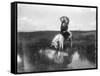 Cheyenne Indian, Wearing Headdress, on Horseback Photograph-Lantern Press-Framed Stretched Canvas