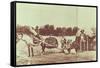 Cheyenne Indians on the Move, 1878-American Photographer-Framed Stretched Canvas