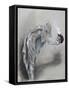 Chez Les Passants, C1850-1898-Felicien Joseph Victor Rops-Framed Stretched Canvas