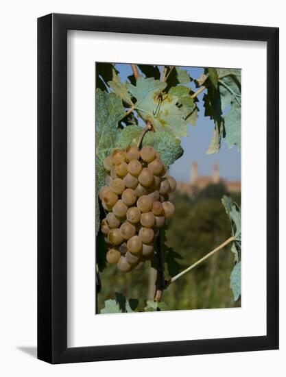 Chianciano Terme, Tuscany, Italy, Europe-Charles Bowman-Framed Photographic Print