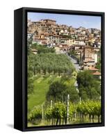 Chianciano, Tuscany, Italy, Europe-Angelo Cavalli-Framed Stretched Canvas