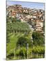 Chianciano, Tuscany, Italy, Europe-Angelo Cavalli-Mounted Photographic Print