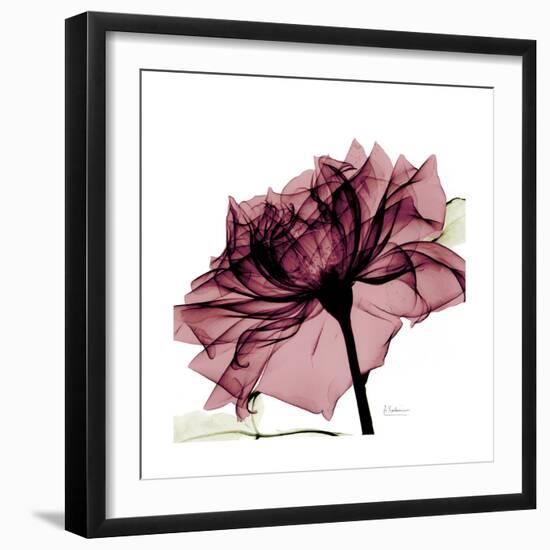 Chiant Rose 1-Albert Koetsier-Framed Premium Giclee Print