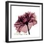 Chiant Rose 1-Albert Koetsier-Framed Premium Giclee Print