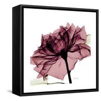 Chiant Rose 1-Albert Koetsier-Framed Stretched Canvas