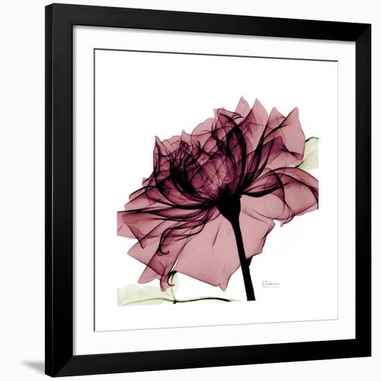 Chiant Rose 1-Albert Koetsier-Framed Premium Giclee Print