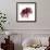 Chiant Rose 1-Albert Koetsier-Framed Premium Giclee Print displayed on a wall