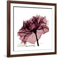 Chiant Rose 1-Albert Koetsier-Framed Premium Giclee Print