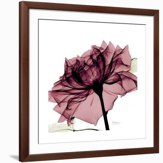 Chiant Rose 1-Albert Koetsier-Framed Premium Giclee Print