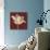 Chianti Behind Tulip-Diane Stimson-Art Print displayed on a wall