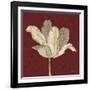 Chianti Behind Tulip-Diane Stimson-Framed Art Print