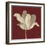 Chianti Behind Tulip-Diane Stimson-Framed Art Print