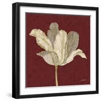 Chianti Behind Tulip-Diane Stimson-Framed Art Print