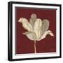 Chianti Behind Tulip-Diane Stimson-Framed Art Print