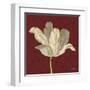 Chianti Behind Tulip-Diane Stimson-Framed Art Print