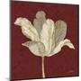 Chianti Behind Tulip-Diane Stimson-Mounted Art Print