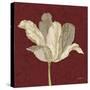 Chianti Behind Tulip-Diane Stimson-Stretched Canvas