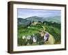 Chianti Classico, Villa Trasqua-Margaret Loxton-Framed Giclee Print