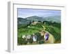 Chianti Classico, Villa Trasqua-Margaret Loxton-Framed Giclee Print