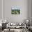 Chianti Classico, Villa Trasqua-Margaret Loxton-Giclee Print displayed on a wall