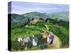 Chianti Classico, Villa Trasqua-Margaret Loxton-Stretched Canvas