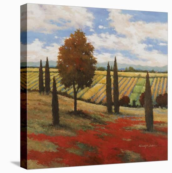 Chianti Country I-Kanayo Ede-Stretched Canvas
