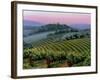 Chianti Dusk-Michael Swanson-Framed Art Print