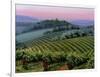 Chianti Dusk-Michael Swanson-Framed Art Print