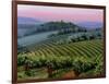 Chianti Dusk-Michael Swanson-Framed Art Print