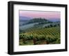 Chianti Dusk-Michael Swanson-Framed Art Print