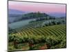 Chianti Dusk-Michael Swanson-Mounted Art Print