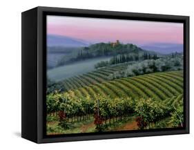 Chianti Dusk-Michael Swanson-Framed Stretched Canvas