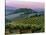 Chianti Dusk-Michael Swanson-Stretched Canvas