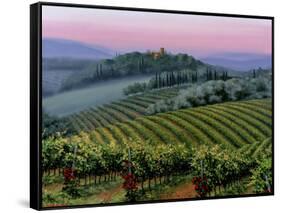 Chianti Dusk-Michael Swanson-Framed Stretched Canvas