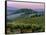 Chianti Dusk-Michael Swanson-Framed Stretched Canvas