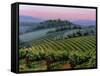 Chianti Dusk-Michael Swanson-Framed Stretched Canvas