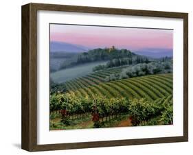 Chianti Dusk-Michael Swanson-Framed Art Print