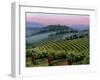 Chianti Dusk-Michael Swanson-Framed Art Print