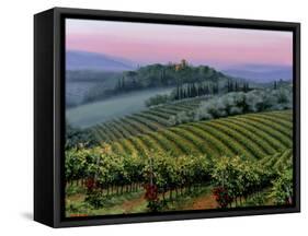 Chianti Dusk-Michael Swanson-Framed Stretched Canvas