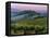 Chianti Dusk-Michael Swanson-Framed Stretched Canvas