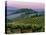 Chianti Dusk-Michael Swanson-Stretched Canvas