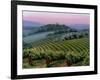 Chianti Dusk-Michael Swanson-Framed Art Print