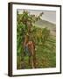 Chianti Grapes Ready for Harvest, Greve, Tuscany, Italy-Richard Duval-Framed Photographic Print